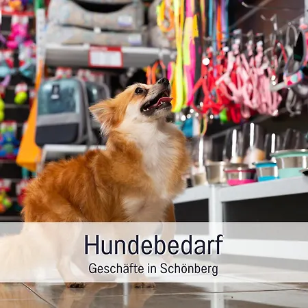Kuestenzauber Kalifornien - Mit Hund - Komplett Eingezaeunter Grosser Garten - Sauna Und Kamin - Im Sommer Strandkorb Inklusive בית נופש Schönberg in Holstein