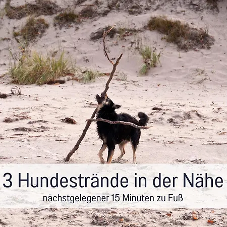 Kuestenzauber Kalifornien - Mit Hund - Komplett Eingezaeunter Grosser Garten - Sauna Und Kamin - Im Sommer Strandkorb Inklusive